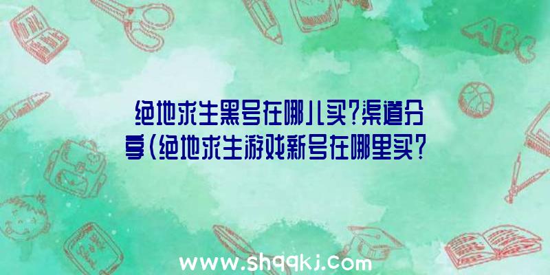 绝地求生黑号在哪儿买？渠道分享（绝地求生游戏新号在哪里买？）